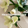 Heartsandcostore