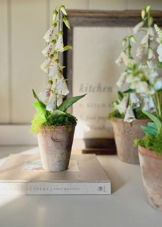 Faux Foxglove In Aged Terracotta Pot With Moss.