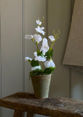 White Realistic Faux Sweet Peas In Aged Terracotta Pot Finished With Faux Moss.