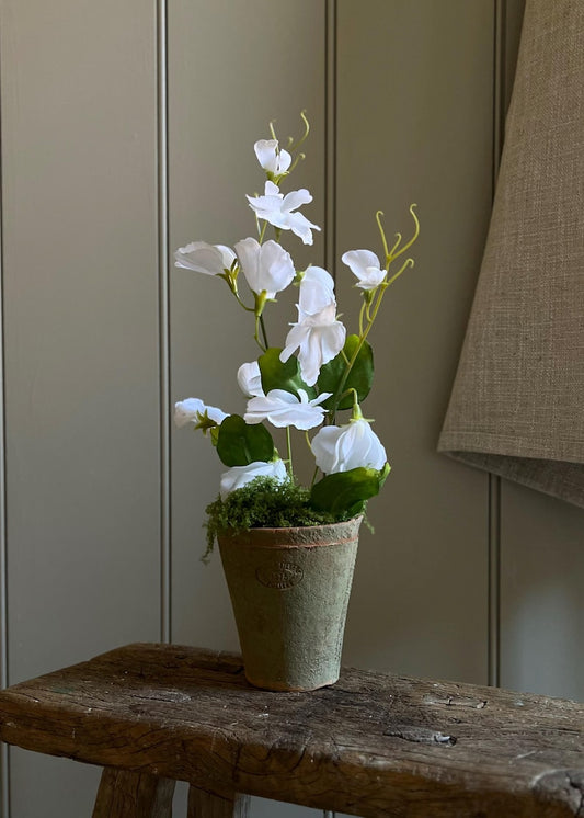 White Realistic Faux Sweet Peas In Aged Terracotta Pot Finished With Faux Moss.