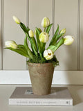 Aged Terracotta Pot With Faux Real Touch Cream Tulips, Faux Moss Arrangement, Rustic Spring Floral Decor, Farmhouse Table Centrepiece.