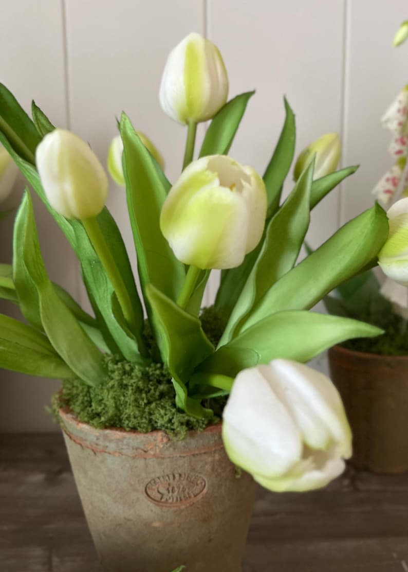 Aged Terracotta Pot With Faux Real Touch Cream Tulips, Faux Moss Arrangement, Rustic Spring Floral Decor, Farmhouse Table Centrepiece.