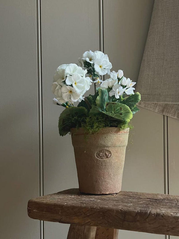 Med Faux White Geranium In Aged Terracotta Pot, Finshed With Moss