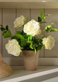 Cream Faux Rose Arrangement In Terracotta Pot