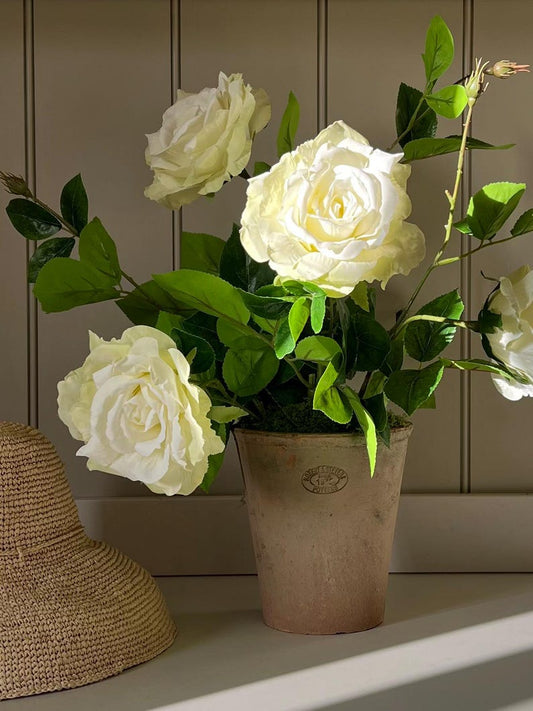 Cream Faux Rose Arrangement In Terracotta Pot