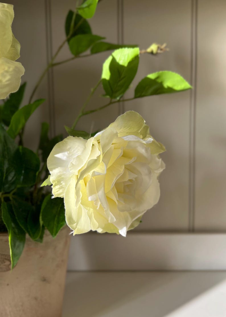 Cream Faux Rose Arrangement In Terracotta Pot